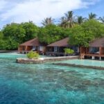 Lily Beach Resort & Spa 5